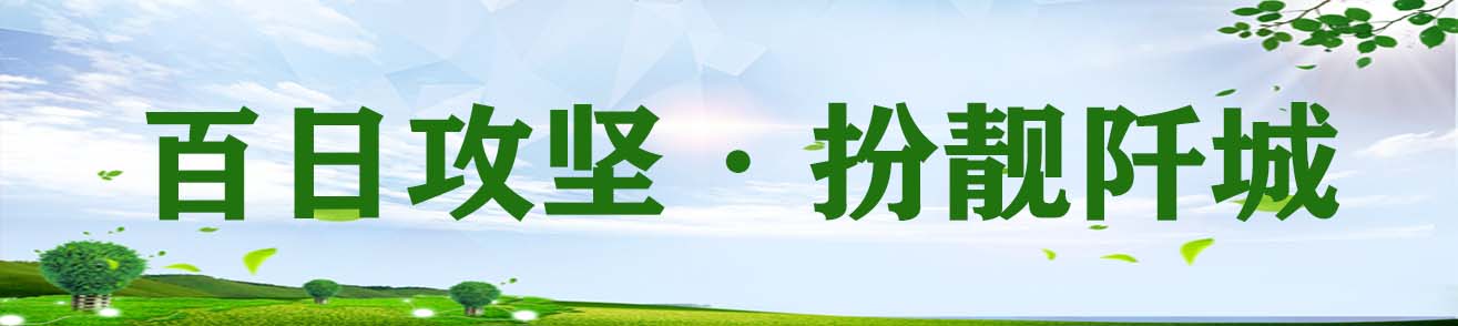 百日攻坚·扮靓阡城
