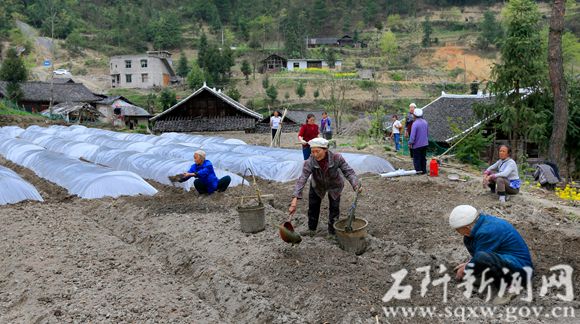 本庄镇双山村：留守老人巧绘蓝图富山村